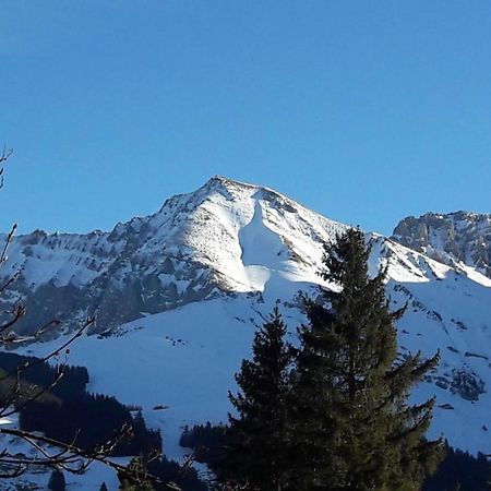 Chalet Allmegrat Adelboden Esterno foto