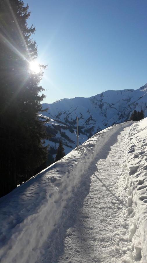 Chalet Allmegrat Adelboden Esterno foto