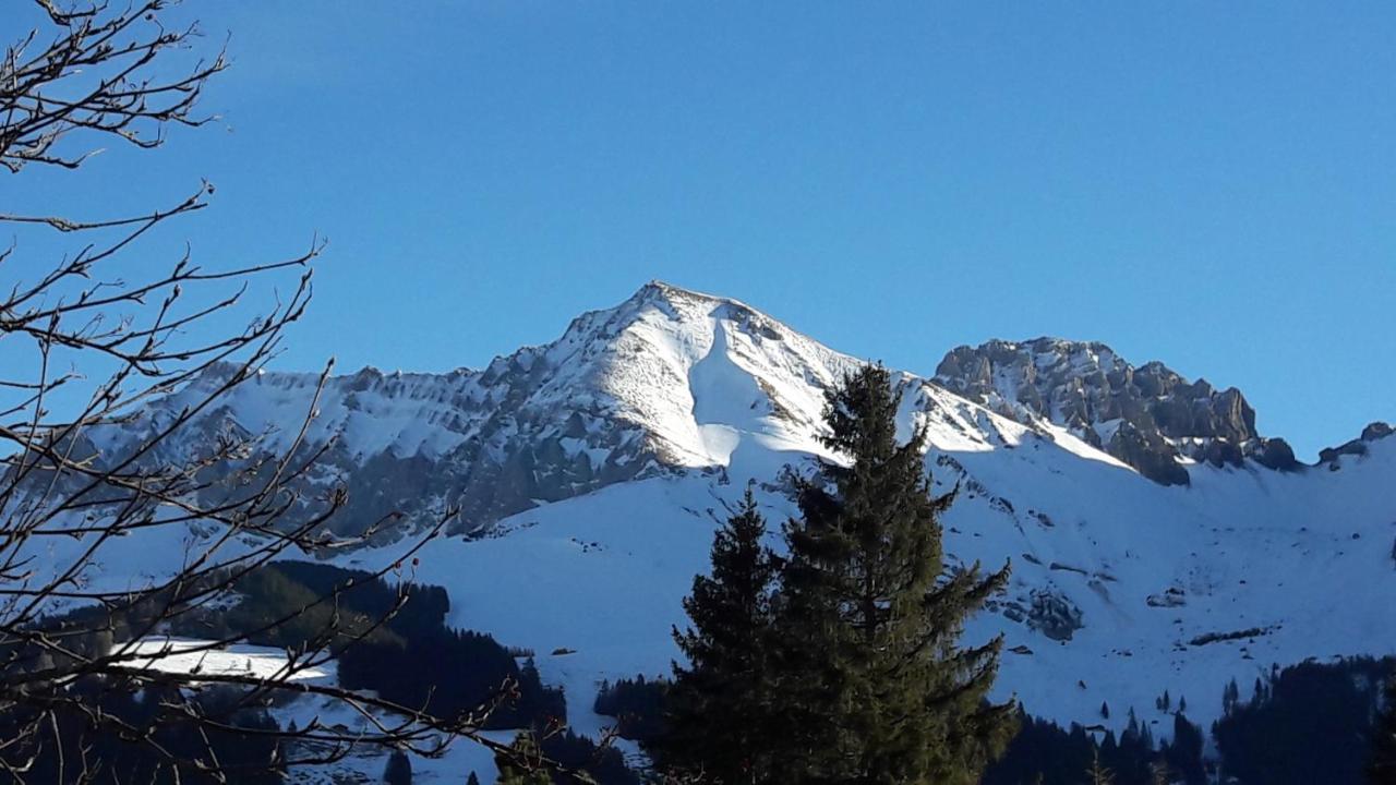 Chalet Allmegrat Adelboden Esterno foto