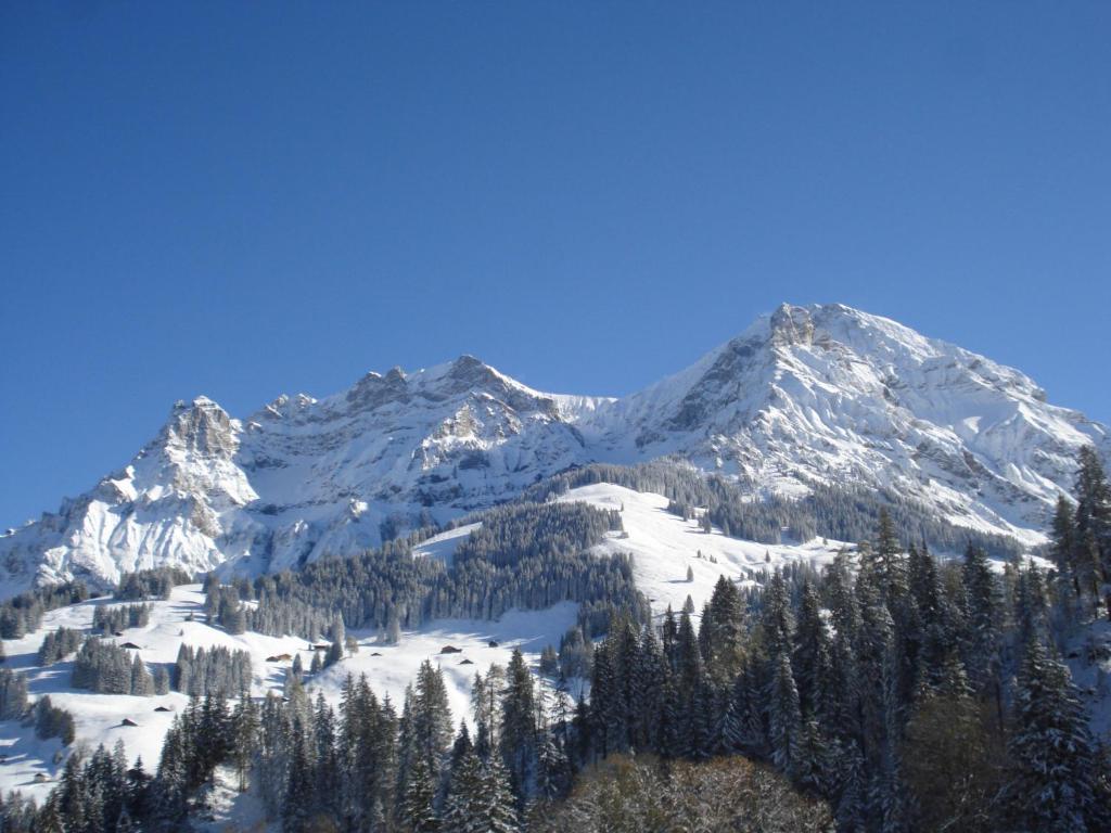 Chalet Allmegrat Adelboden Esterno foto