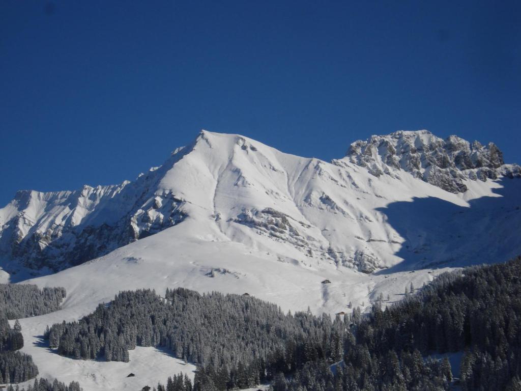 Chalet Allmegrat Adelboden Esterno foto