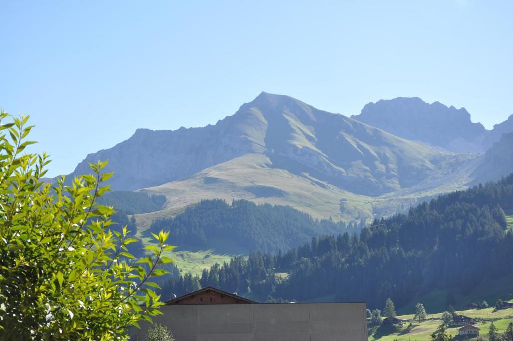 Chalet Allmegrat Adelboden Esterno foto