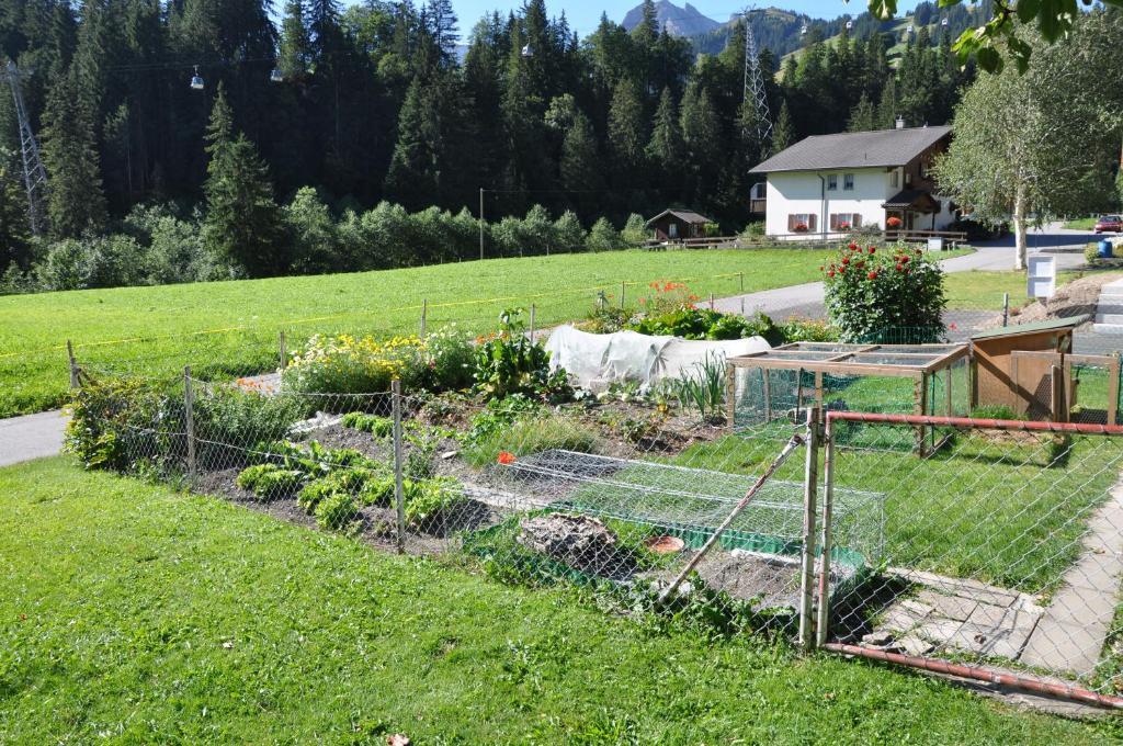 Chalet Allmegrat Adelboden Esterno foto