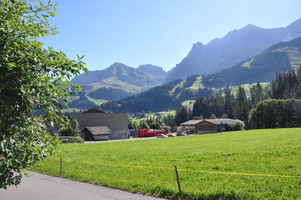 Chalet Allmegrat Adelboden Esterno foto